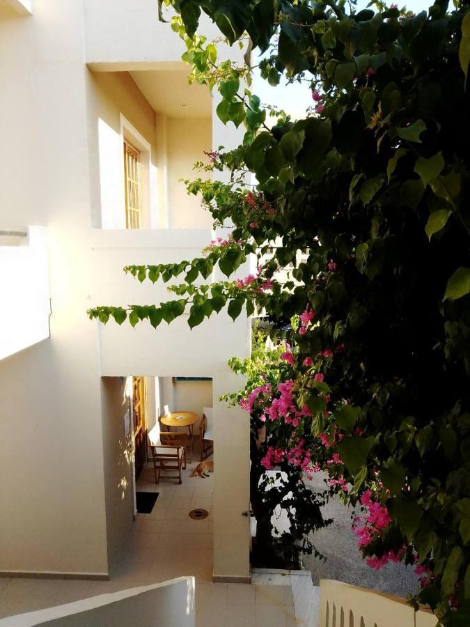 פלטניאס Irini Apartments מראה חיצוני תמונה