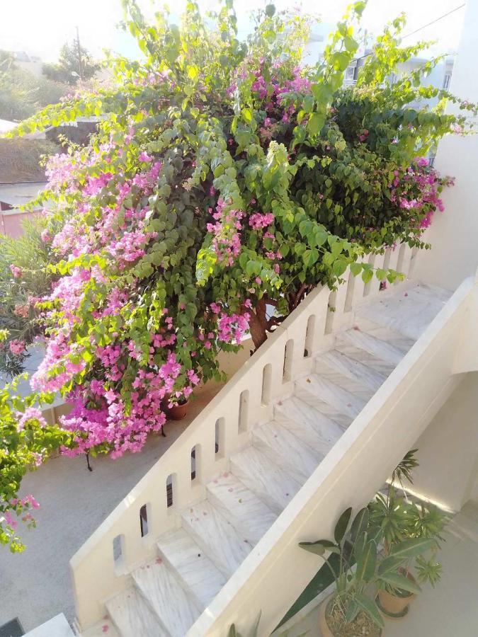 פלטניאס Irini Apartments מראה חיצוני תמונה