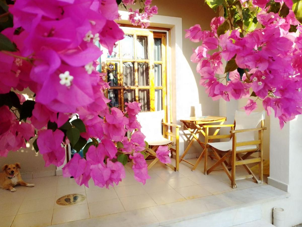 פלטניאס Irini Apartments מראה חיצוני תמונה